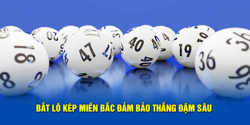 Thống kê vip vũng tàu C168